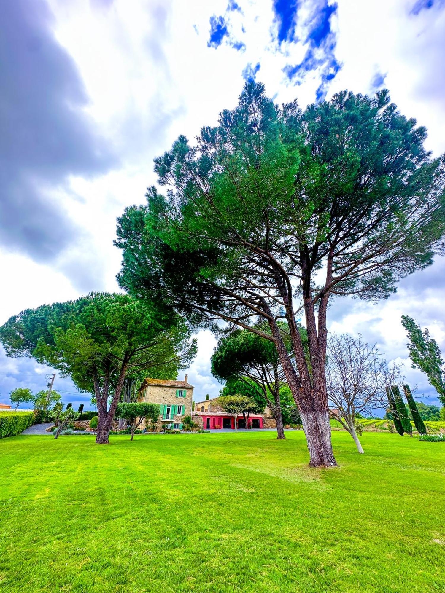 Domaine La Mouline Pezenas Exterior photo